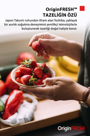Toshiba Koku Önleme Orjinal Tazelik 535 Litre No-Frost Buzdolabı Morandi Gri GR-RT702WE-PMT(06)
