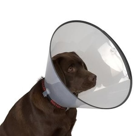 Kedi Köpek Yakalığı 10 cm