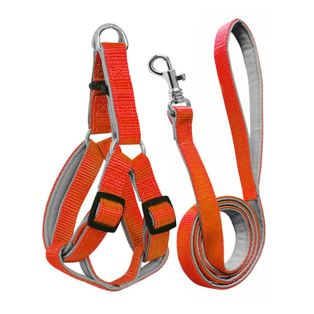 Gezdirme Kayışlı Dokuma Köpek Göğüs Tasma Seti 40*60-110 cm Turuncu