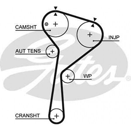 Renault Eksantrık Kayısı (123x270) 123 Dis Clio Kangoo Megane II 1,5 DCI 01=> Ct1035 - Gates 5578xs