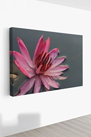 Dekoratif Kanvas Tablo - FDC21