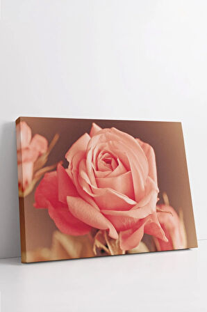 Dekoratif Kanvas Tablo - FDC27