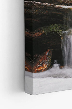 Dekoratif Kanvas Tablo - FDC130