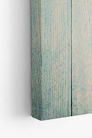 Dekoratif Kanvas Tablo - FDC151