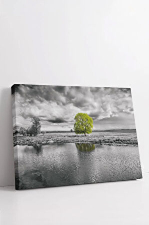 Dekoratif Kanvas Tablo - FDC199