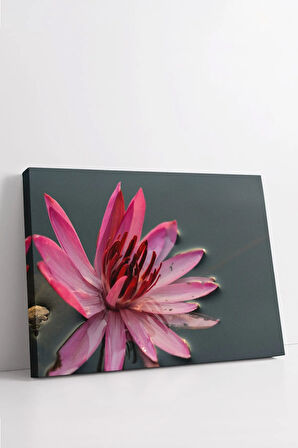 Dekoratif Kanvas Tablo - FDC21