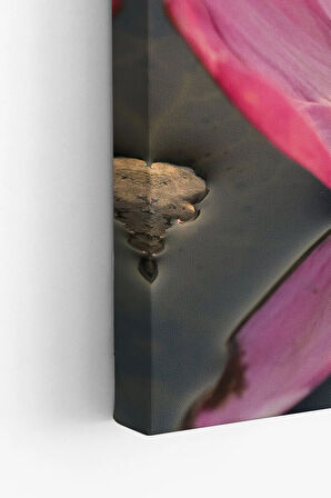 Dekoratif Kanvas Tablo - FDC21