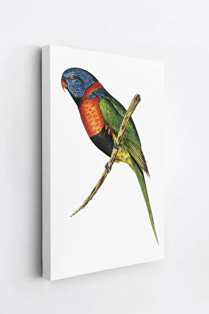 Dekoratif Kanvas Tablo - ERSYSB009