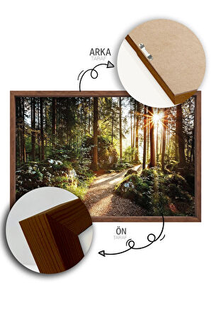 Tek Parça Kahverengi Gerçek Ahşap Çerçeveli Tablo Seti - Model 4