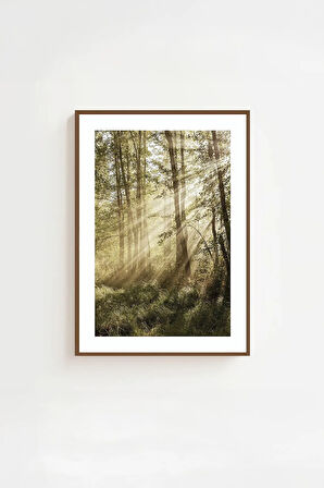 Tek Parça Kahverengi Gerçek Ahşap Çerçeveli Tablo Seti - Model 7