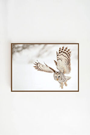 Tek Parça Kahverengi Gerçek Ahşap Çerçeveli Tablo Seti - Model 33