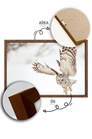 Tek Parça Kahverengi Gerçek Ahşap Çerçeveli Tablo Seti - Model 33