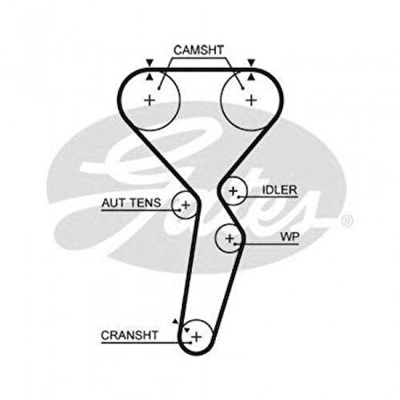 Mitsubıshı Triger Kayısı (159x290) Mitsubıshı Montera Pajero 2.0 16v 99 Ct1116 - Gates 5585xs