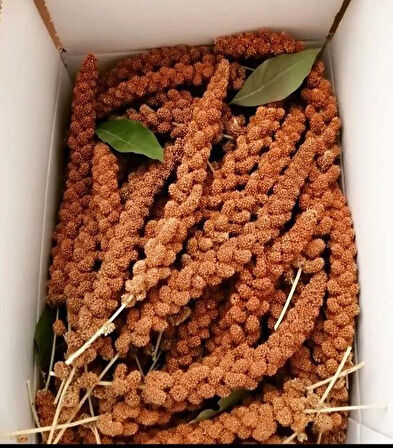 Kuşlar İçin Kızıl Dal Darı 500 GR