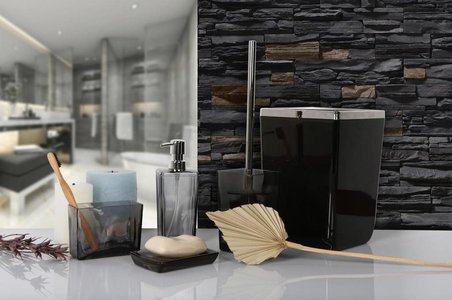 Primanova M-Sa11-25 Biga Diş Fırçalık Şeffaf Siyah - Krom