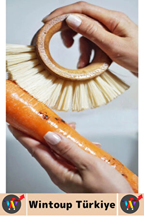 Ergonomik Kolay Tutuş Sert Bitkisel Kıllı Havuç Patates Pancar Turp Sebze Meyve Yıkama Fırçası