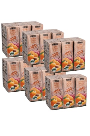 Elma Kayısı Suyu %100 Meyve Suyu Oranı Şeker İlavesiz 36 Adet X 200 ml