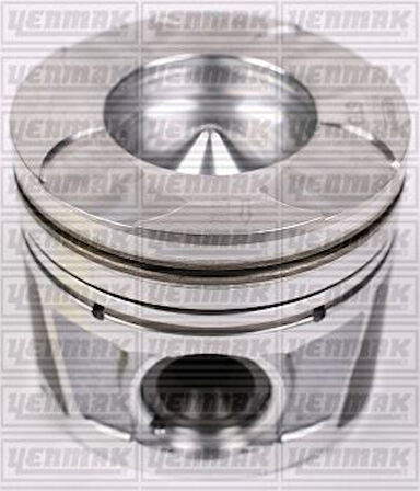 Fiat Motor Piston Segman Linea Doblo III 1,6 Multıjet 105hp Euro 5 Motor (79.50mm) / (std) - Yenmak 31-04292-000
