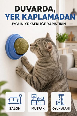 Kedi Nanesi Catnip Döner Top Yenilebilir Duvara Yapışan Kedi Oyuncağı