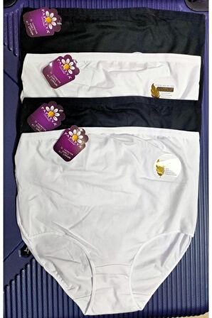 Modal Hamile Külot Paket 4 Adet