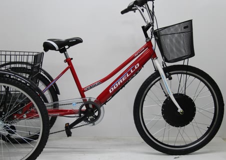 Elektrikli 3 tekerlek kargo bisikleti cargo 48 dc1000 watt model elektrikli motor 3 tekerlek - Renk: Kırmızı