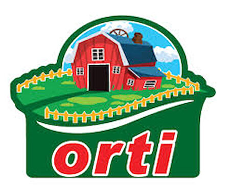 Orti Yeşil Mercimek 25 Kg.