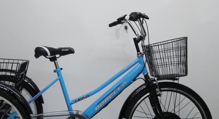 Dorello Pedal Destekli el gazlı Elektrikli Bisiklet cargo bisikleti 48 dc1000 watt elektrkli - Renk: Antrasit