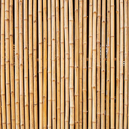 Bambu Sopası 120 cm 18-20mm Bambu Çubuğu 5 ADET 