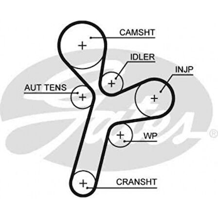 Chevrolet Triger Kayısı (151x220) Antara 2.0cdti Chevrolet Captıva Lacetti Nubıra Cruze Epica 2.0tdci Ct1121 - Gates 5634xs