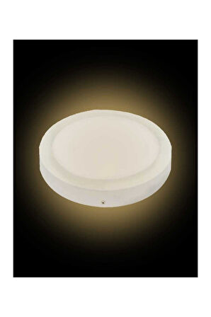 1 Adet 12W 3000K Günışığı Işık Sıva Üstü Smd Yuvarlak Led Panel KDL421