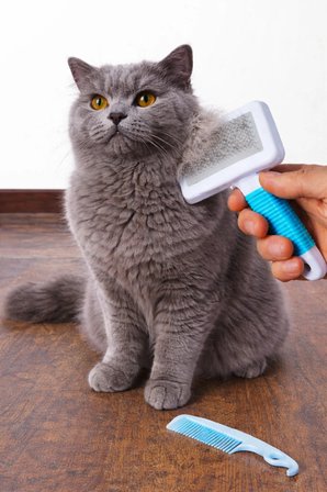 Kedi ve Köpekler İçin Telli Tüy Toplama Fırçası Küçük Boy Evcil Hayvan Tüy Bakım Tarama Seti