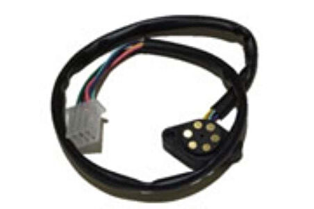 Ramzey Vites Müşürü Cg Asya