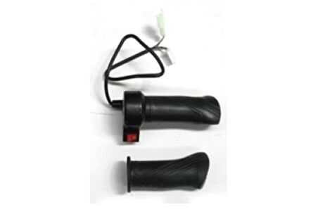 Ebis Gaz Kolu Vitesli 2 Kademe E-Bisiklet