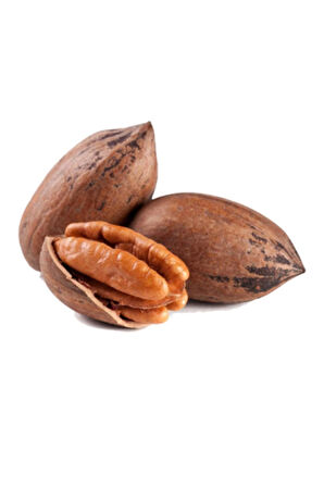 Pikan Cevizi 1 Kg. ( Pecan Nut ) Kabuklu Pikan 1000 Gr.