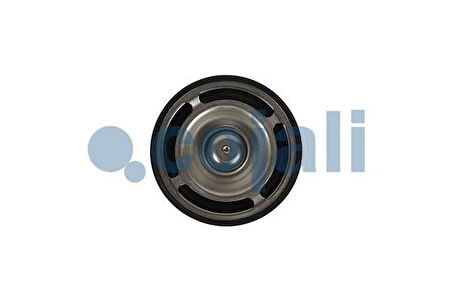 Volvo Truck Termostat (82°) Renault Premium 420 / 440 / 460 / Volvo Fh-Fm Y.m. Euro 5 - Cojalı 2880274