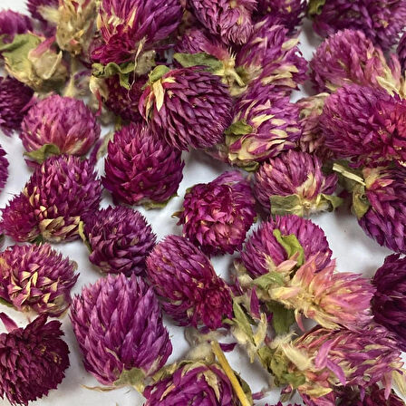 Hanım Düğmesi Çiçeği 15 gr