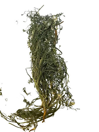 Şahtere Otu 30 gr