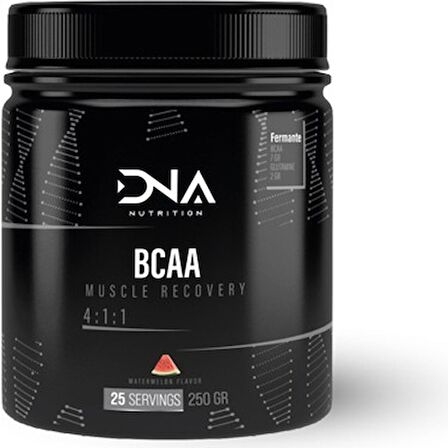 Dna Nutrition Bcaa 4:1:1 250 gr