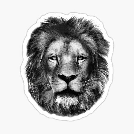 Araba için Aslan Oto Sticker Yapıştırması Etiket  17CM z1
