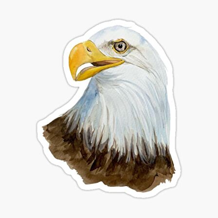 Araba için Kartal Oto Sticker Yapıştırması Etiket  17CM a6