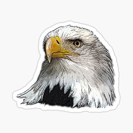 Araba için Kartal Oto Sticker Yapıştırması Etiket  17CM aa4