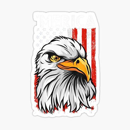 Araba için Kartal Oto Sticker Yapıştırması Etiket  17CM d3