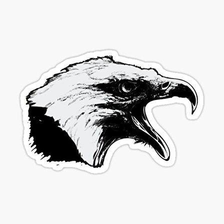 Araba için Kartal Oto Sticker Yapıştırması Etiket  17CM d5