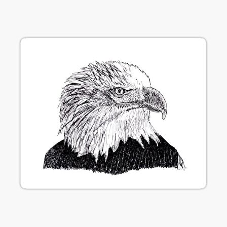 Araba için Kartal Oto Sticker Yapıştırması Etiket  17CM e1