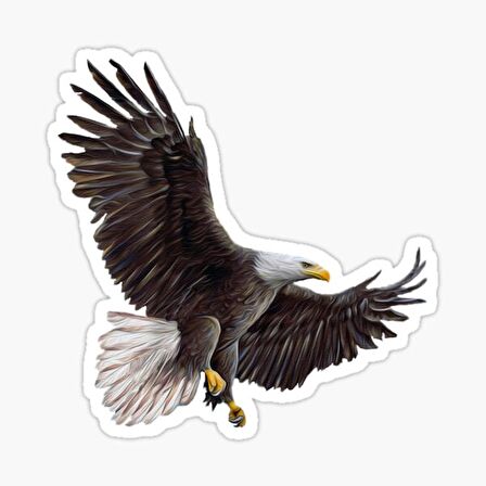 Araba için Kartal Oto Sticker Yapıştırması Etiket  17CM q1