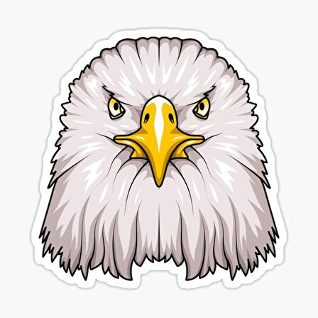 Araba için Kartal Oto Sticker Yapıştırması Etiket  17CM q6