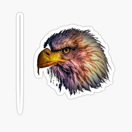 Araba için Kartal Oto Sticker Yapıştırması Etiket  17CM r3