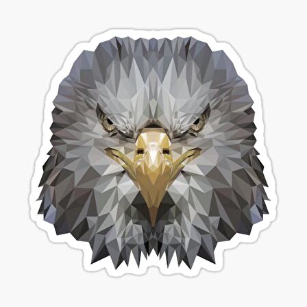 Araba için Kartal Oto Sticker Yapıştırması Etiket  17CM r5