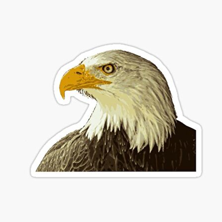 Araba için Kartal Oto Sticker Yapıştırması Etiket  17CM w2