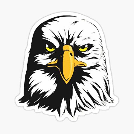 Araba için Kartal Oto Sticker Yapıştırması Etiket  17CM w6